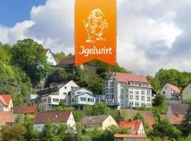 Berggasthof Hotel Igelwirt