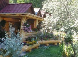 Pensiunea Poiana de Vis, homestay in Suceviţa