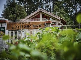 le p'ti blanc des "o", B&B/chambre d'hôtes à Salazie