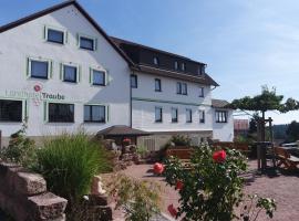 Landhotel Traube: Seewald şehrinde bir otel