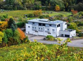 Winzer Lounge Ferienwohnung, Hotel in Dernau