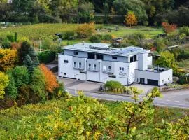 Winzer Lounge Ferienwohnung