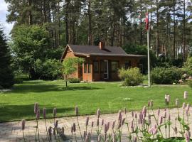 Forest house with outdoor hot tub, cabaña o casa de campo en Jūrmala