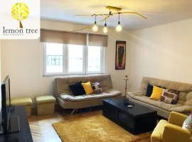 Lemon Tree Apartment