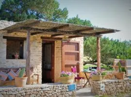 Siamoformentera Bella