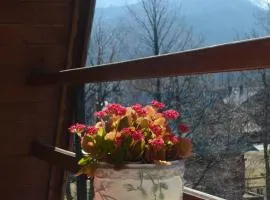 Pokoje gościnne w górach