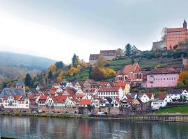 Neckarblick,Natur, Altstadt, alojamiento con cocina en Hirschhorn