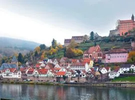 Neckarblick,Natur, Altstadt