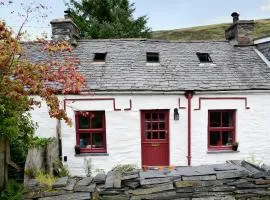 Bryn Rhos Goch
