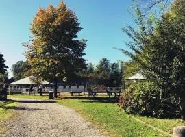 Agriturismo La Fornace centro ippico