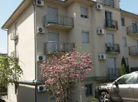 Apartments Vela 2