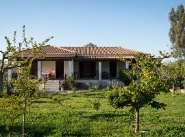Olive Grove Zakynthos, hotel Langadákiában