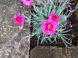 Bake House Cottage, hotel u gradu Shepton Mallet