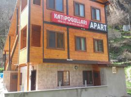 Katipogulları Apart, hotel i Uzungöl