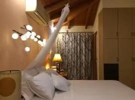 Wooden Roof Apartment