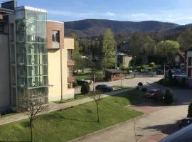 Apartament "Czantoria"