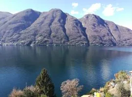 Giardino sul lago, La Vigna