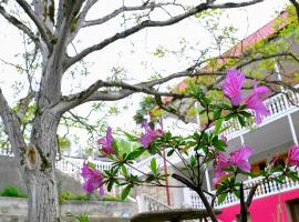 Sofia Guest House, hotel near Gelati Monastery, Kutaisi