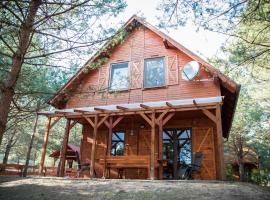 Domki w Borach, cabin in Wycinki