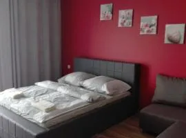 Tropikalna Odnowa