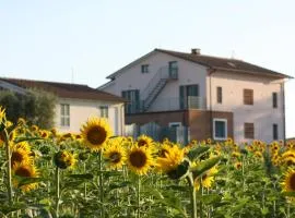 La Collina del Girasole