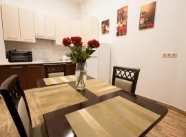 Wonderful flat on city center (Mukachivska 4/12)