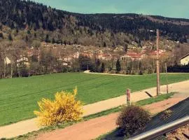 chalet vosgien