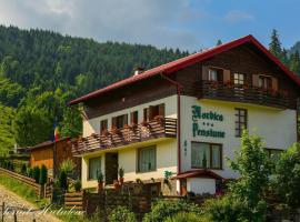 Pensiunea Nordica, hotel near Horses' Waterfall, Statiunea Borsa