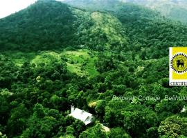 Belpeak Cottage，位于贝里胡罗亚的山林小屋