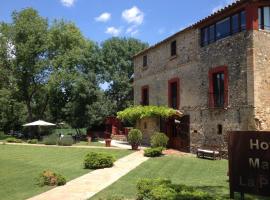 Hotel Masia La Palma, country house in Espinavesa