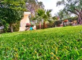 Theocharis Paradise