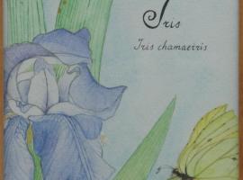 칸네토에 위치한 호텔 Albergo Boutique Casajanca