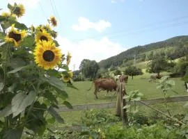 Urlaub auf dem Hänslehof