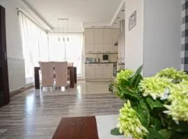 Apartament nad Drwęcą II