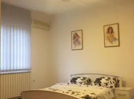 Apartman br.1