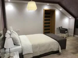 Villa i SPA Stević, maison d'hôtes à Veliko Gradište