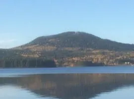 Villa gruddbo