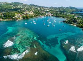 Blue Lagoon Hotel and Marina Ltd, hôtel à Kingstown