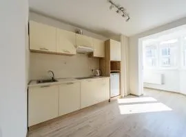 Comfortable apartment near airport Zhulyny