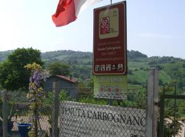 Tenuta Carbognano, farm stay in Gemmano