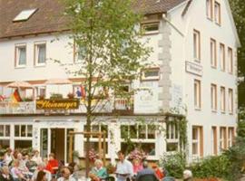 Haus Steinmeyer, hotel in Bad Pyrmont