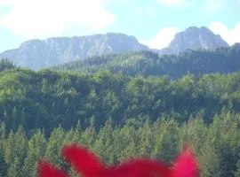 Willa Na Potoku