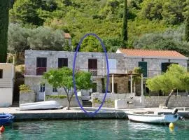 Sunny Apartment Octopus