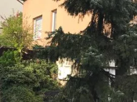 Secret Garden by Arder