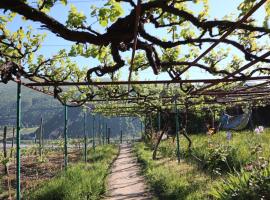 Chateau Dio, alquiler temporario en Ambrolauri