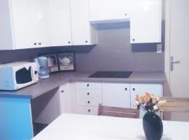 Loft sympa à Sassenage