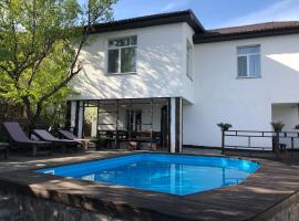 Dniprovskiy Dvir, hotel in Dnipro