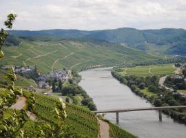 Landhaus Kuntz, hotel-fazenda em Lieser