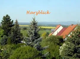 Ferienhaus "Harzblick"