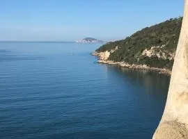 "Il nespolo"